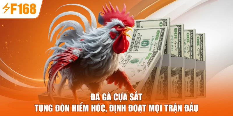 Đá Gà Cựa Sắt - Tung Đòn Hiểm Hóc, Định Đoạt Mọi Trận Đấu